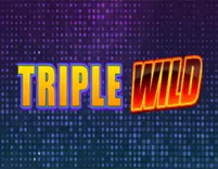 Triple Wild slot